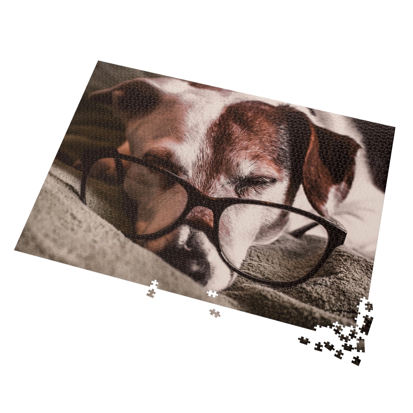 Bookworm Puzzle
