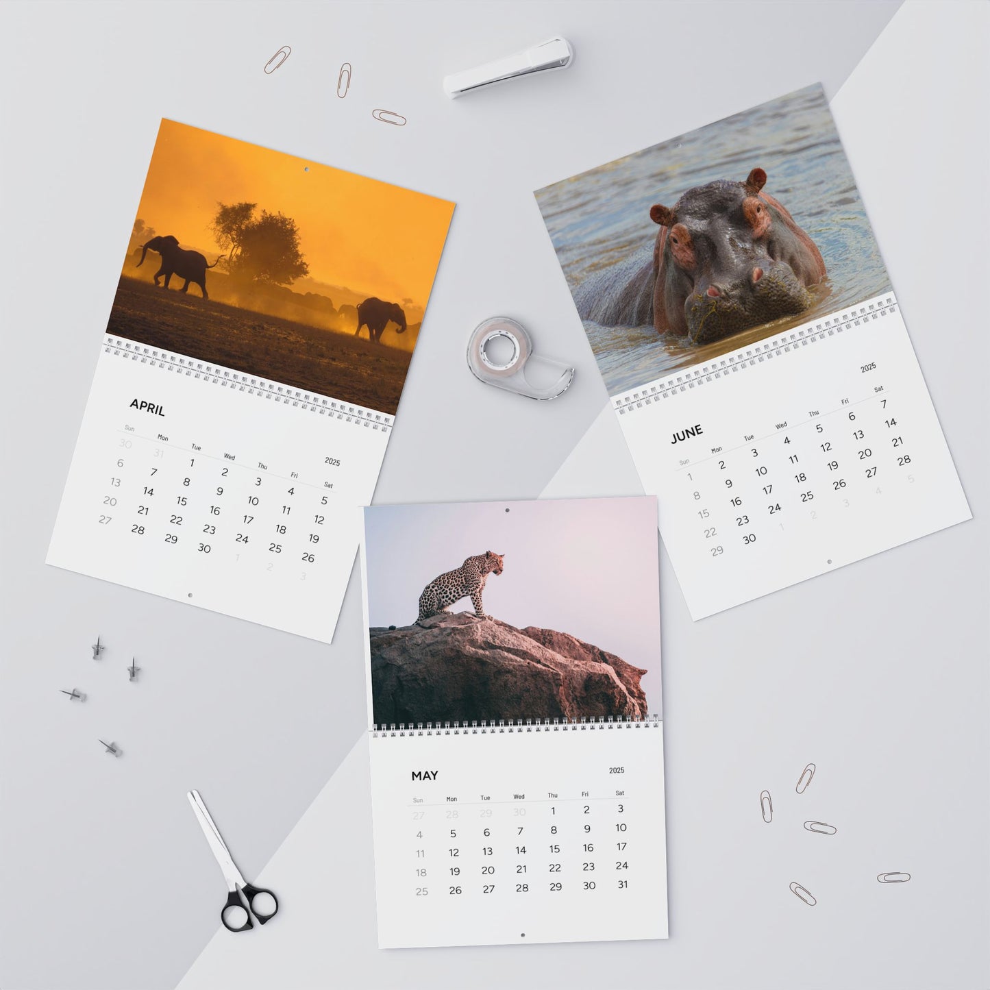 East Africa SAFARI Wild Animals CALENDAR 2025