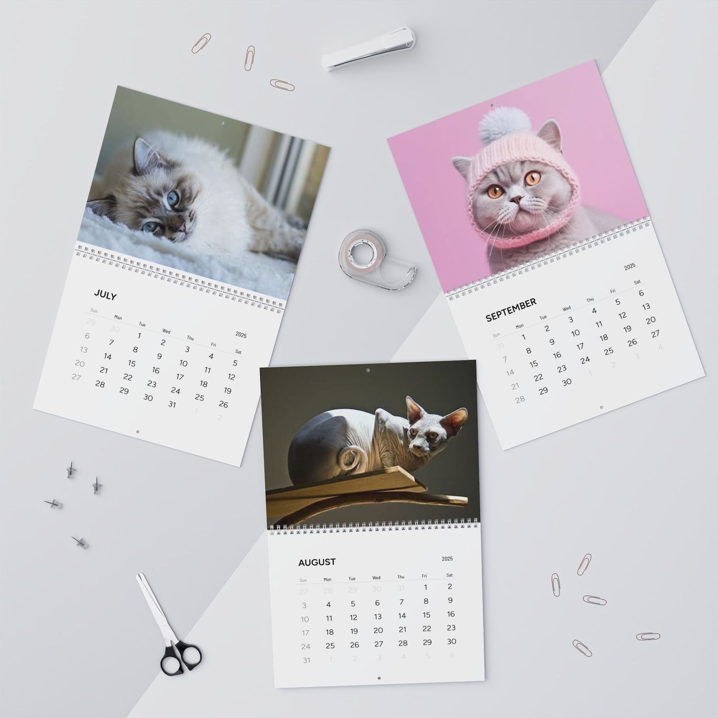 Grumpy CAT CALENDAR 2025