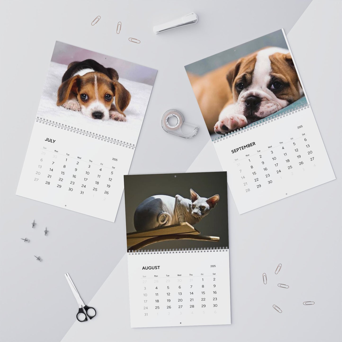 Grumpy Pup Calendar