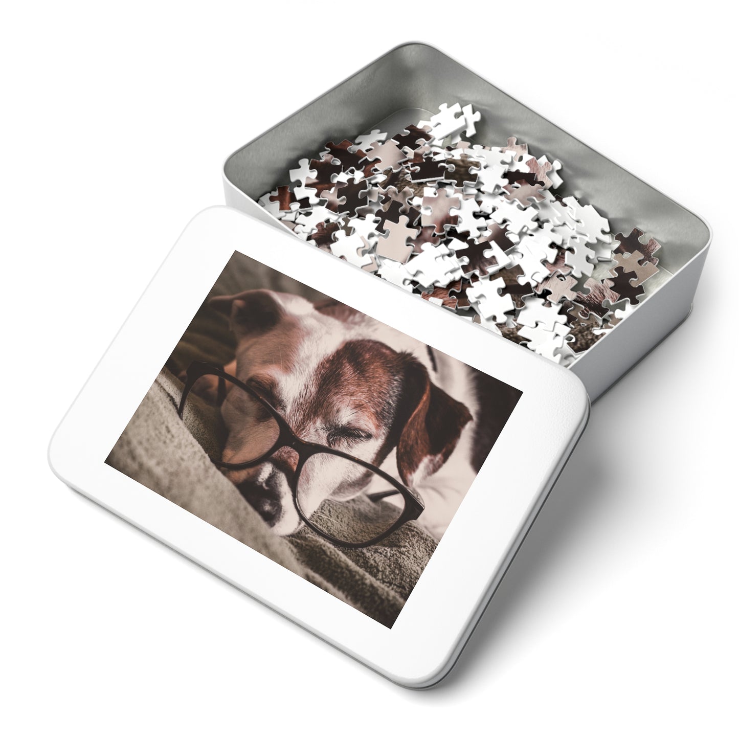 Bookworm Puzzle