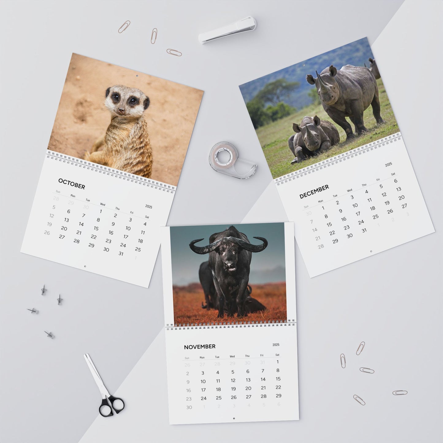 East Africa SAFARI Wild Animals CALENDAR 2025