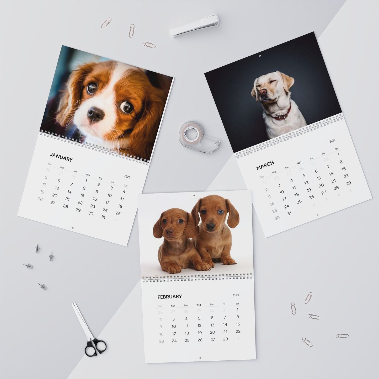 Grumpy DOG CALENDAR 2025 | Dogs Illustrated Calendar | Kids Bedroom Puppy Wall Calendar | Fun Dog Gift | Dog Lover Gift Idea | Cute Dog Gift