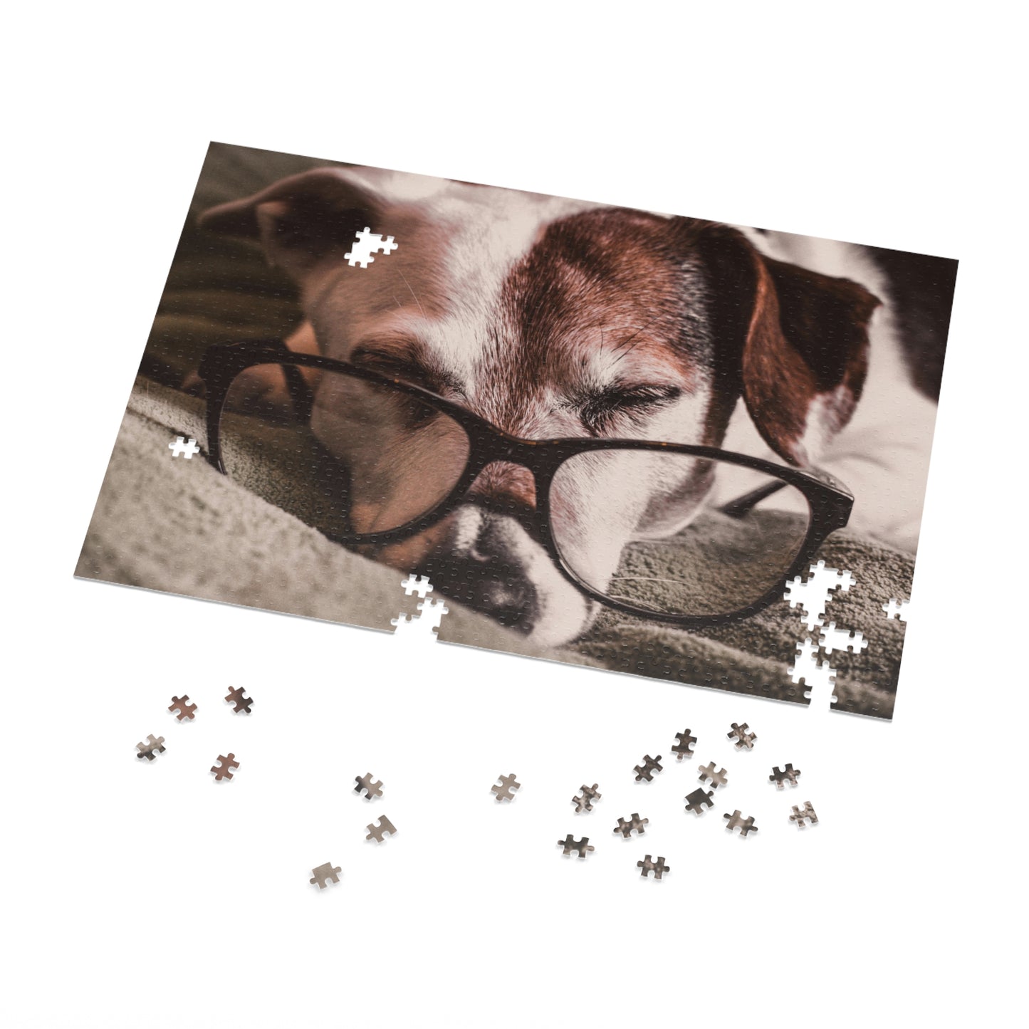 Bookworm Puzzle