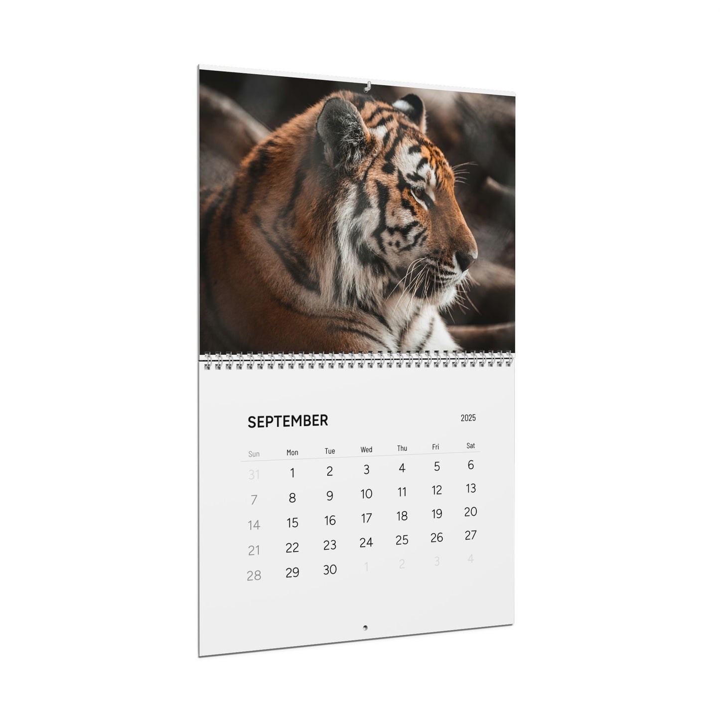 Safari Dreams Calendar