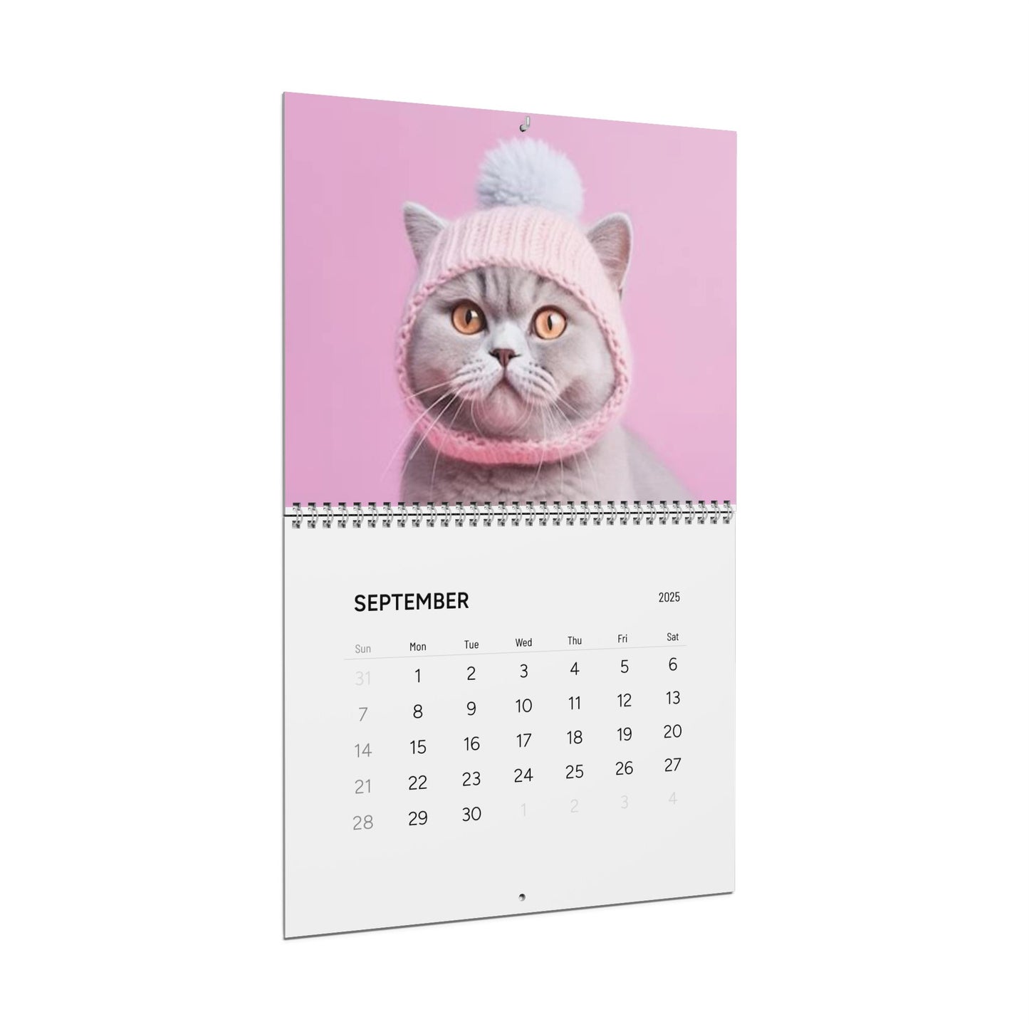Grumpy CAT CALENDAR 2025 | Cats Illustrated Calendar | Kids Bedroom Wall Calendar | Fun Cat Gift | Cat Lover Gift Idea | Cute Cat Gift