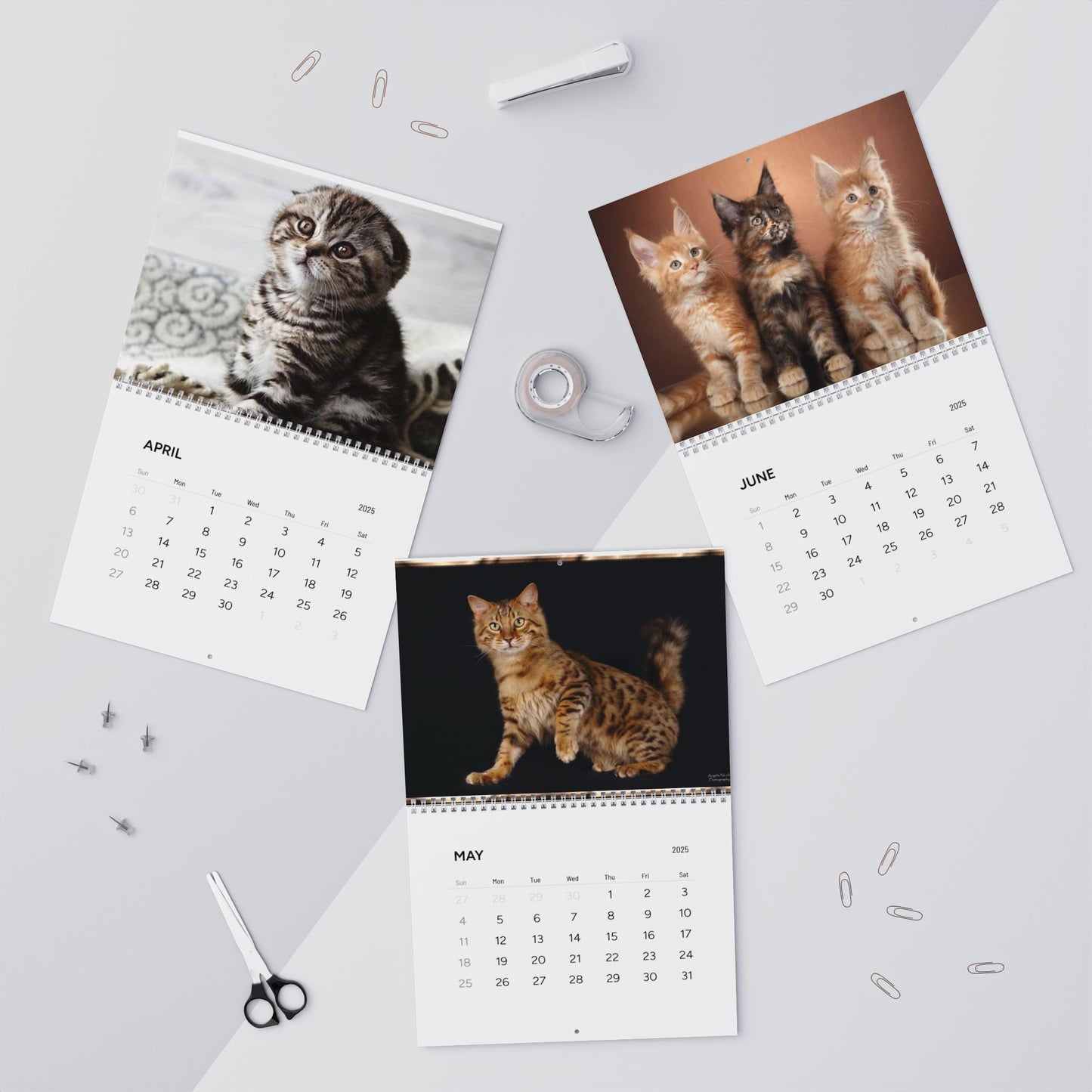 Grumpy CAT CALENDAR 2025