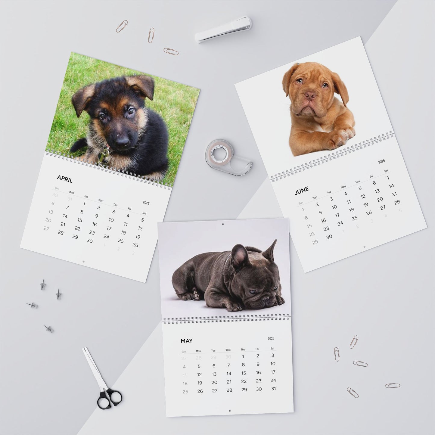Grumpy Pup Calendar