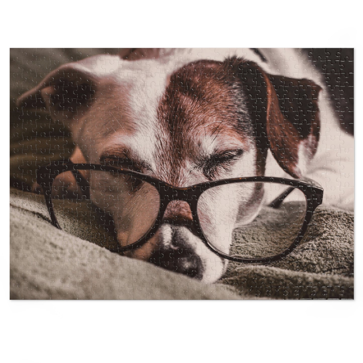 Bookworm Puzzle