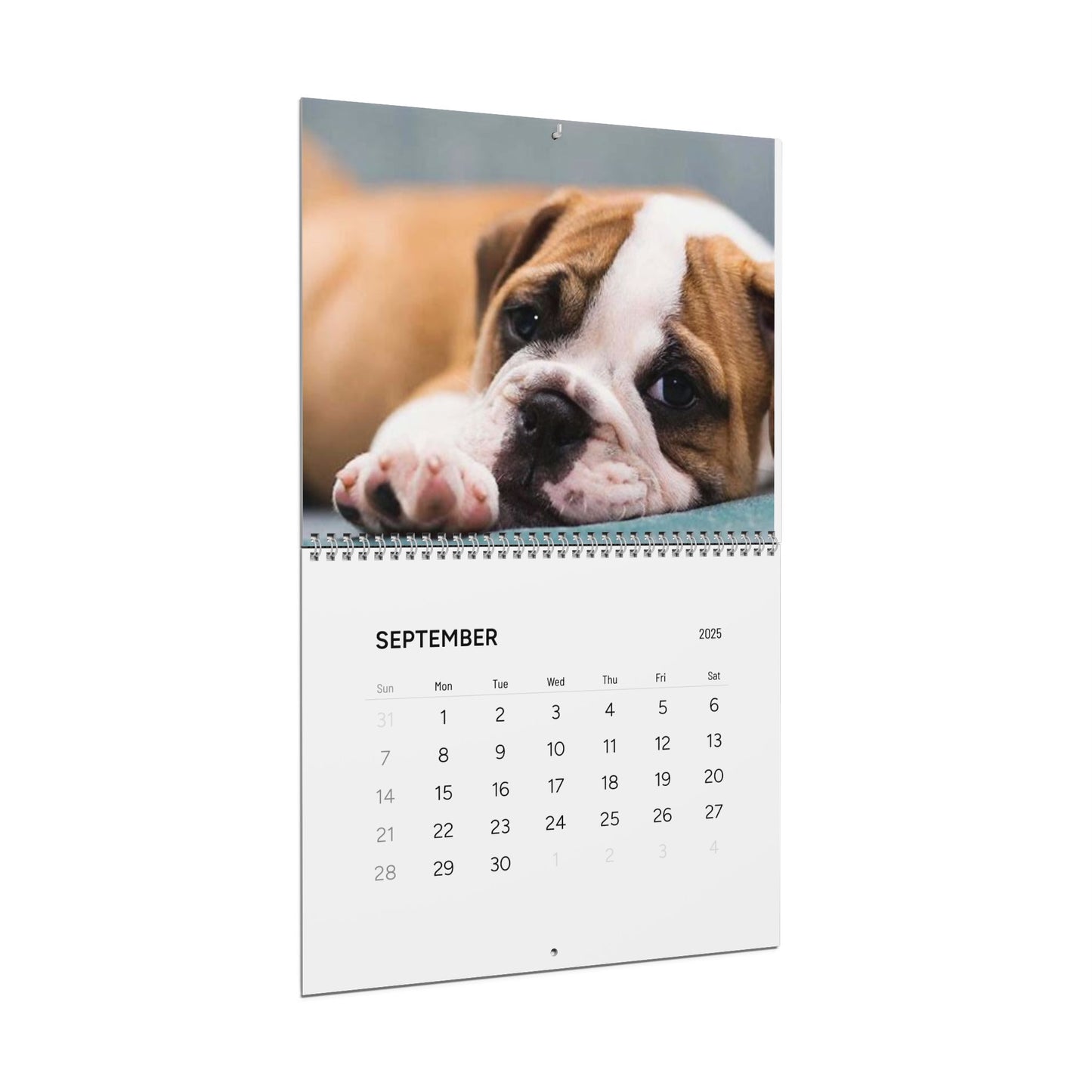 Grumpy DOG CALENDAR 2025 | Dogs Illustrated Calendar | Kids Bedroom Puppy Wall Calendar | Fun Dog Gift | Dog Lover Gift Idea | Cute Dog Gift