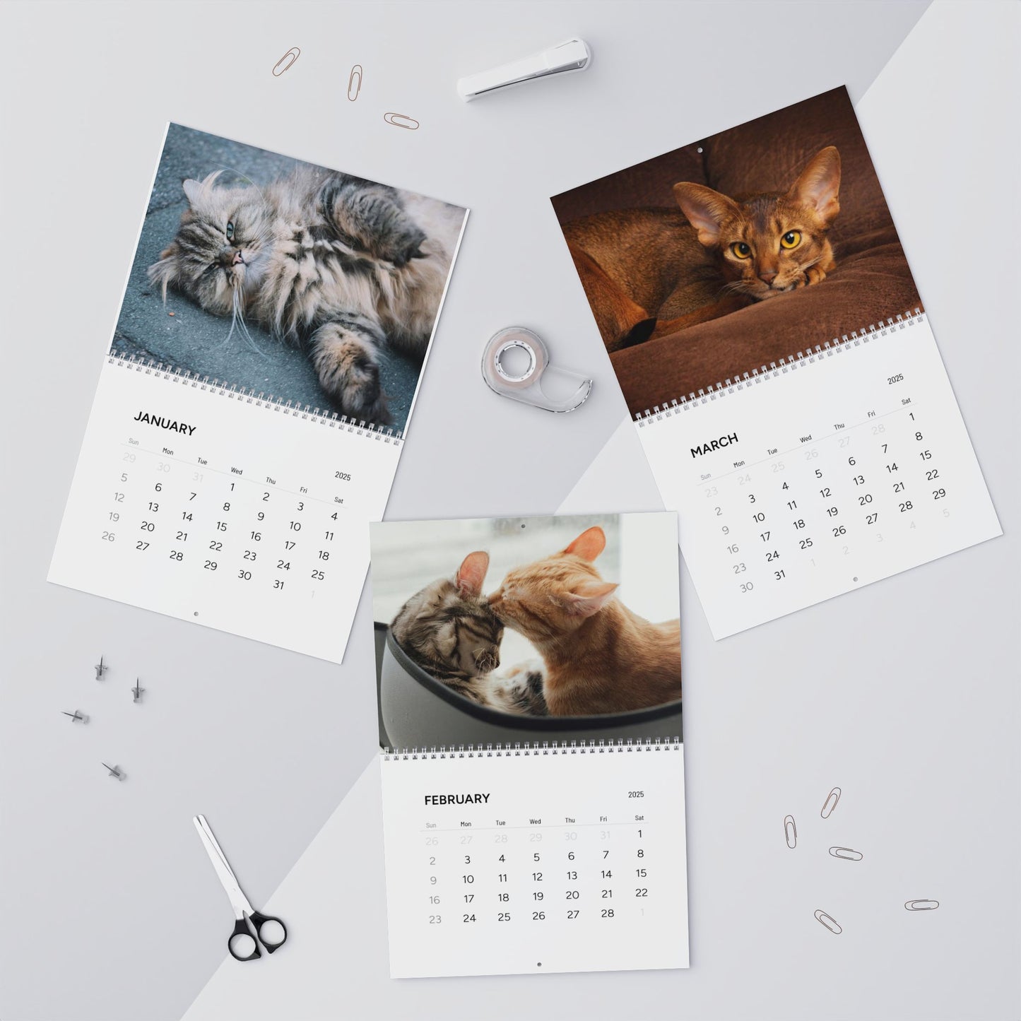 Grumpy CAT CALENDAR 2025 | Cats Illustrated Calendar | Kids Bedroom Wall Calendar | Fun Cat Gift | Cat Lover Gift Idea | Cute Cat Gift