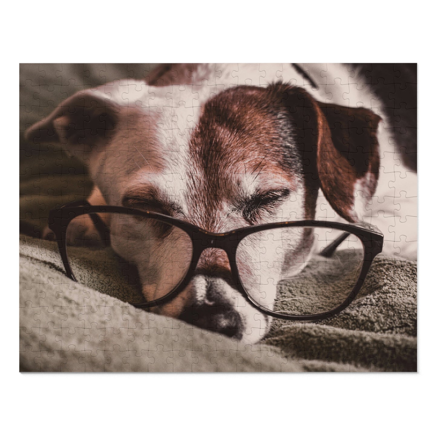 Bookworm Puzzle