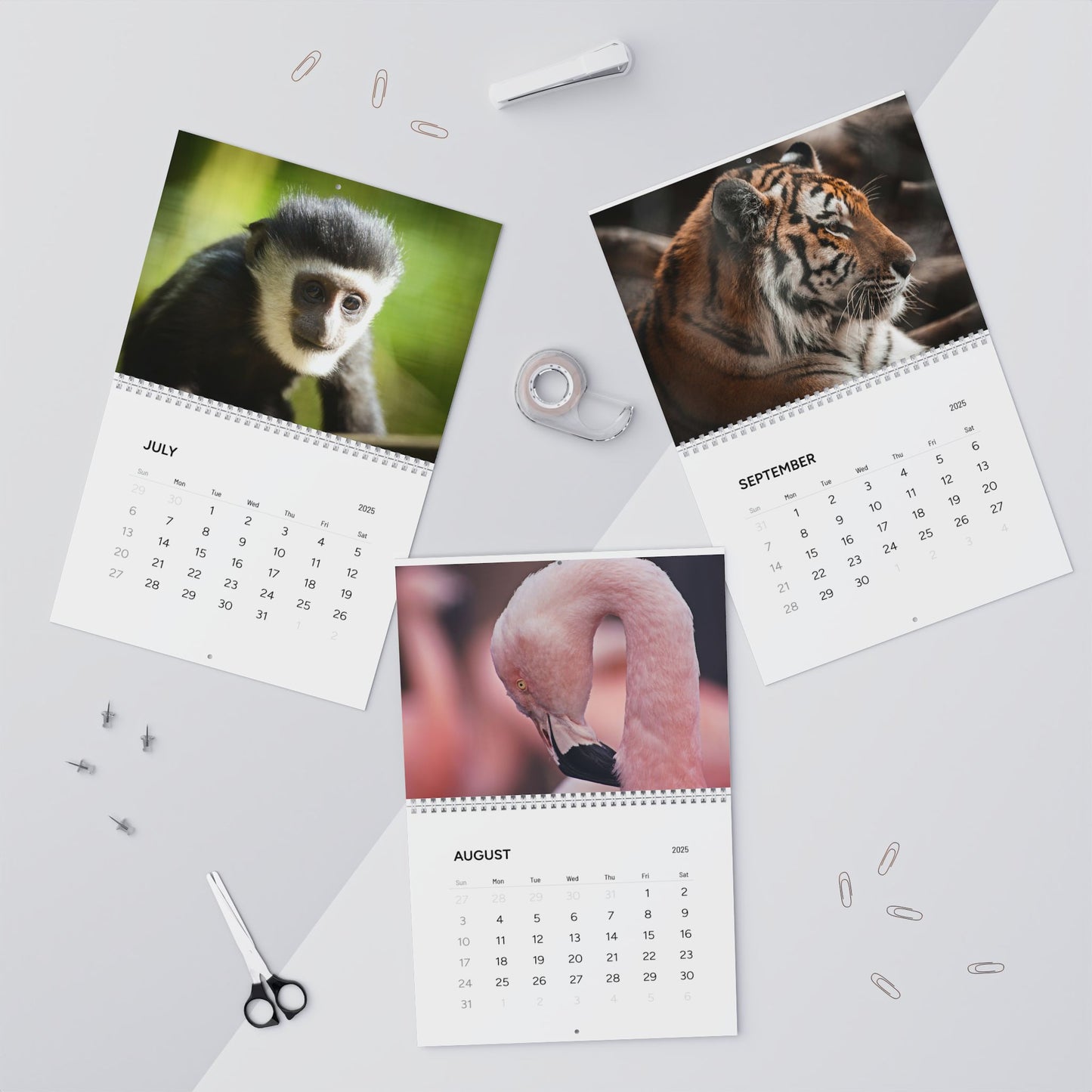 East Africa SAFARI Wild Animals CALENDAR 2025
