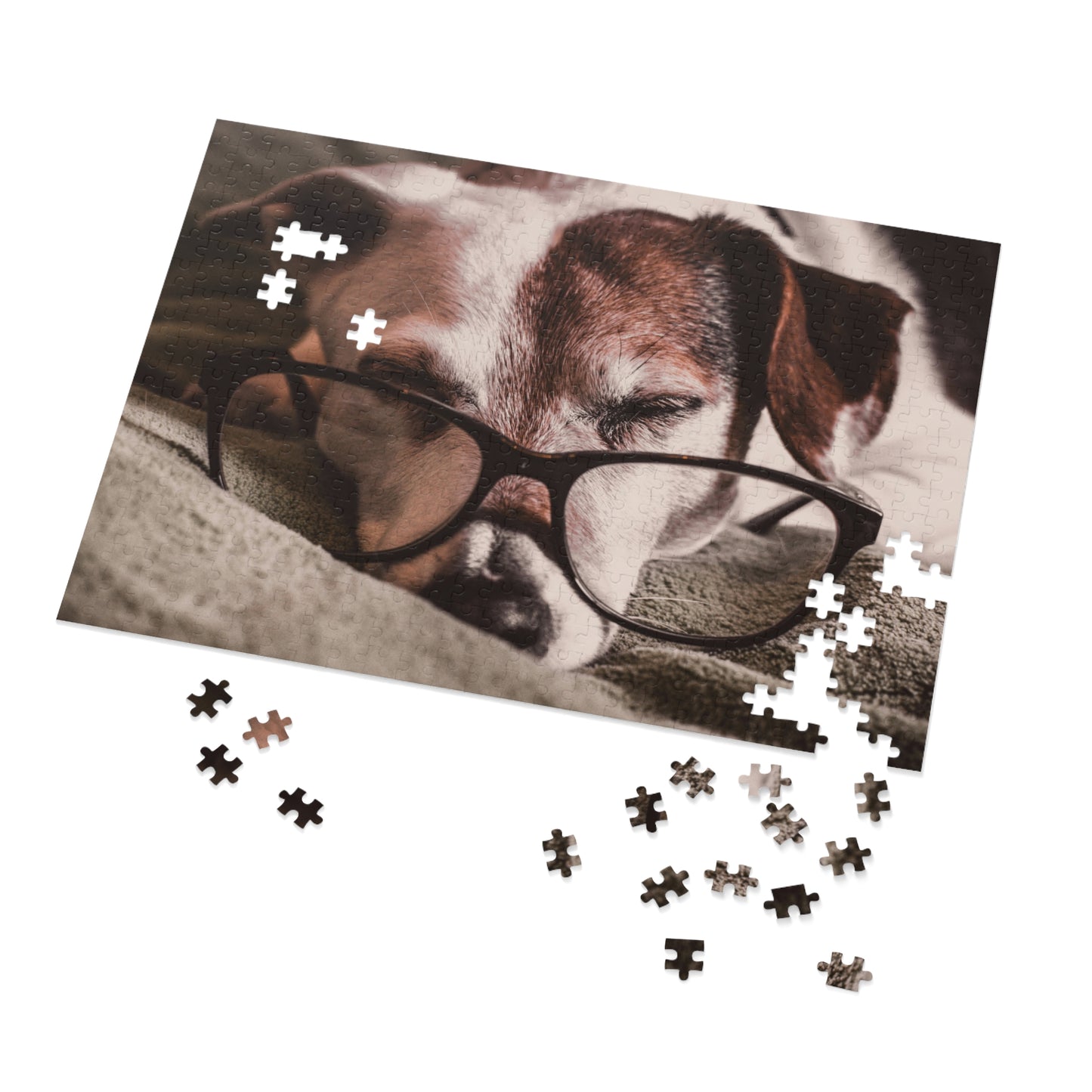 Bookworm Puzzle