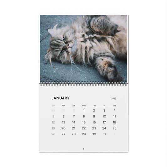 Grumpy CAT CALENDAR 2025 | Cats Illustrated Calendar | Kids Bedroom Wall Calendar | Fun Cat Gift | Cat Lover Gift Idea | Cute Cat Gift